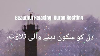 Relaxing Quran Reciting | Dil ko Sukoon dene Wali Tilawat | Abdul Rahman Mossad | Surah Sajdah