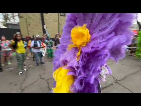 Mardi Gras Indians on Mardi Gras