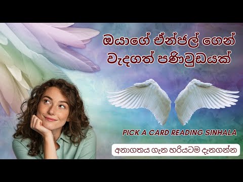 ඔයාගේ ඒන්ජල් ගෙන් වැදගත් පණිවුඩයක් 👼 Angel Messages ✨