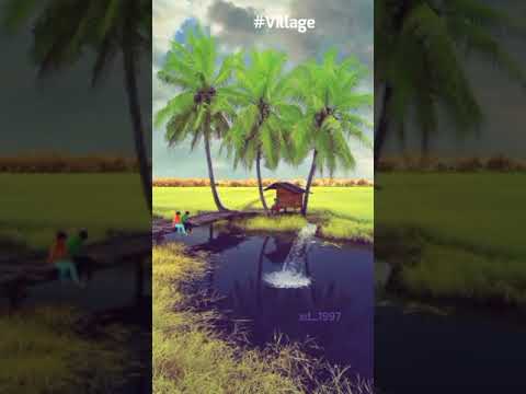 Nature Whatsapp Status Video|Village Status 🌴