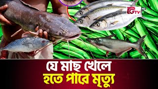 বাজার থেকে ভুলেও কিনবেন না ৫ প্রকারের মাছ | Fish Poisoning | Gtv News