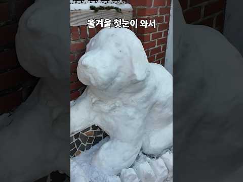 우리 강아지가 달라졌어요 #눈사람 #눈강아지 #첫눈