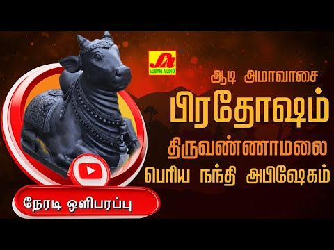 🔴  LIVE  ஆடி அமாவாசை பிரதோஷம் திருவண்ணாமலை பெரியநந்தி அபிஷேகம் மற்றும் ஆராதனை #liveproadhasham #live