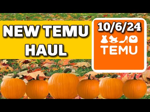 New Temu Haul 10/6/24