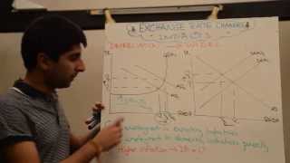 Impact of Exchange Rate Appreciations and Depreciations with Evaluation