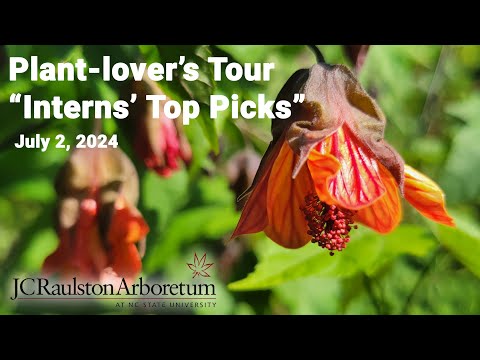 Plant-lover's Tour - "Interns' Top Picks 2024"