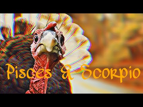 ♓️PISCES DEALING W/ SCORPIO♏️NEXT 10 DAYS🦃SOMEONE HAS ISSUES THAT NEED 2B DEALT WITH FR