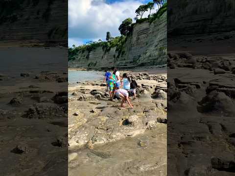 Exploring Tide Pools with Kids🦀 Scouting the Rocky Coastline🪸 Outdoor Activities for Kids