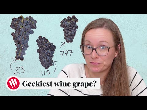 Learn by Tasting (ep. 30) Wine Folly