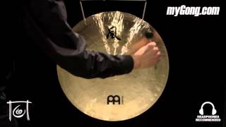 22" Meinl Wind Gong (WG-TT22-1011416B) at Memphis Gong Chamber