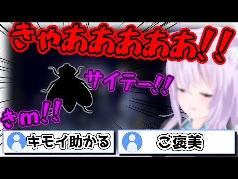 【つぐのひ】大嫌いな虫登場で"全否定"猫又おかゆの怒号が響き渡るw【ホロライブ切り抜き/猫又おかゆ】