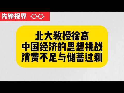 北大教授徐高谈中国经济的思想挑战，消费不足与储蓄过剩（下）