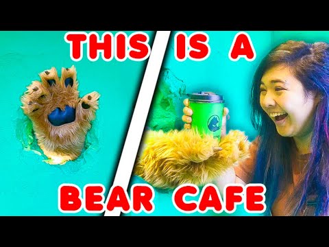 I Went to Japan’s Bear Cafe