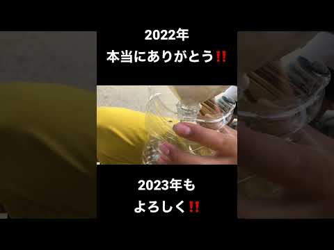 今年もよろしくな!!  #shorts #新年 #2023 #youtube