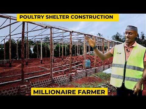 Building our Mega 8,000 Chicken Farm | Update | 2024