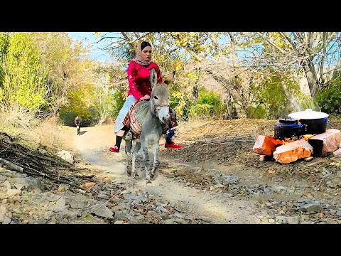 Village Life Iran: Traditional Cooking & Donkey Riding With Village Girl