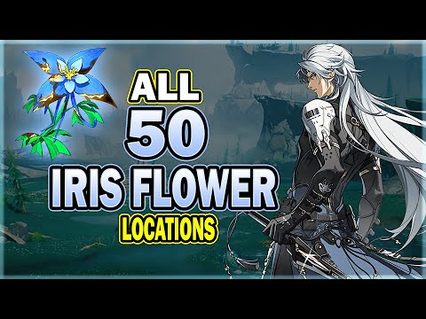 All 50 Iris Locations in Wuthering Waves - Efficient Farming Route