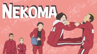 Meanwhile in Nekoma... | Haikyuu TikTok Compilation