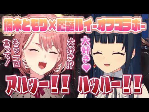 【ホロごえっ！】ともりるの「大好き」に興奮が抑えられないルイ姉【ホロライブ切り抜き/鷹嶺ルイ/楠木ともり】