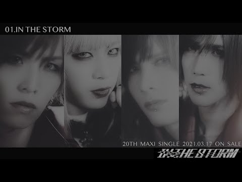 Royz「IN THE STORM」Trailer