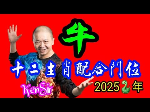 🧭🏠⛩️《牛》｜2025蛇年十二生肖｜《牛》配合家居環境｜生肖配八門吉兇｜宅命相配｜環境能量｜#2025蛇年 #生肖牛 🐮