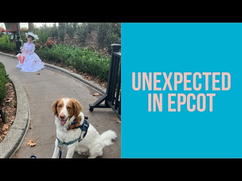 EPCOT: This Was Unexpected!!! | Disney World Christmas 2021