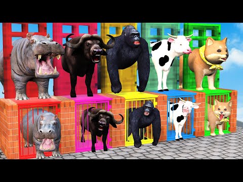 Cow Mammoth Elephant Buffalo Dog HIPPO Guess the Right Door Run ESCAPE ROOM CHALLENGE Animals Cage