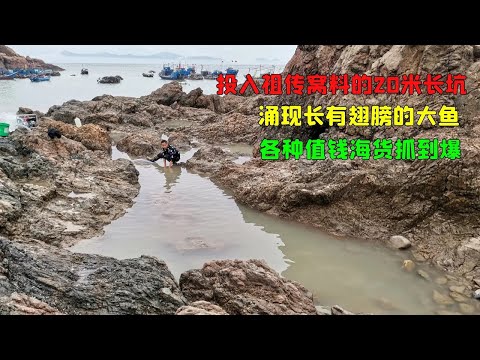 【阿向趕海】投入祖傳窩料的20公尺長坑 湧現長有翅膀的大魚 各種值錢海貨抓到爆