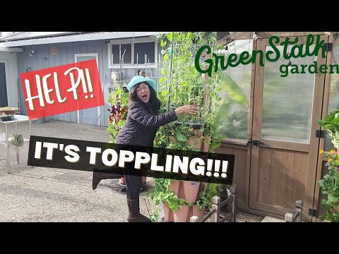 TIPS to stop GREENSTALKS from TOPPLING!