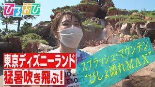 【ひるおび】東京ディズニーリゾートに夏到来！皆川アナ２０年ぶりの来園で濡れて涼んで食べて遊ぶ！