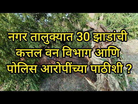 नगर 25 ते 30 झाड तोडणाऱ्यांना वनविभाग आणि पोलीस पाठीशी घालत आहे का ?