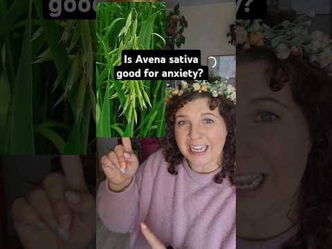 Is Avena sativa good for anxiety?