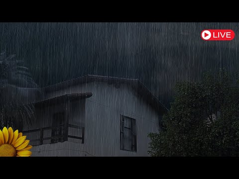 🔴SOM de Água Corrente e CHUVA GROSSA com TROVOADAS Esparsas, DORMIR SONO Profundo💤