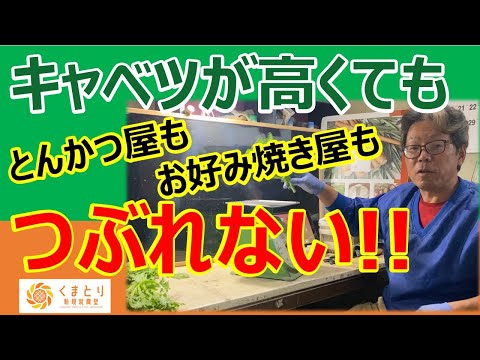 野菜が高いネタのニュース　安易な発想でテレビ放送するな！