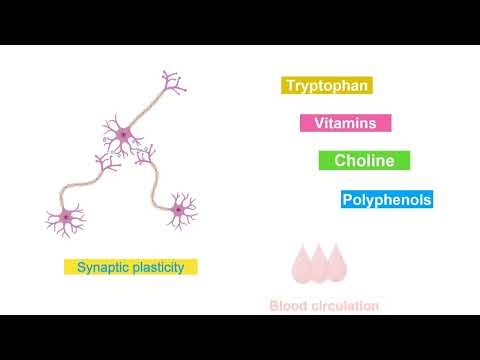 Impact of almond consumption on memory – Video abstract [469179]