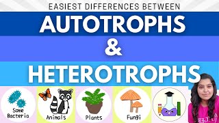 Easiest Difference between Autotrophs and Heterotrophs | What is Autotroph and Heterotroph?