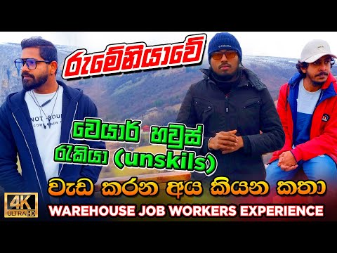 Why Romania's Unskilled Workers are the Happiest in Europe|රුමේනියාවට වෙයාර්හවුස් වලට ආපු විදිය