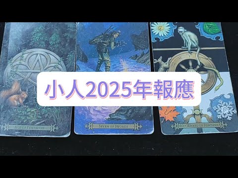 💜塔羅占卜| 小人2025年報應