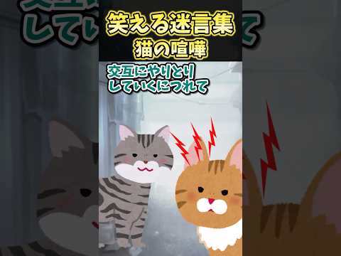 笑える迷言集‪～猫の喧嘩～【2ch面白スレ】