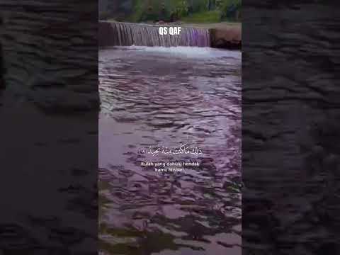 QS QAF #nature #soothingriversounds #soothingsound #relaxing #asmr #shorts #relax