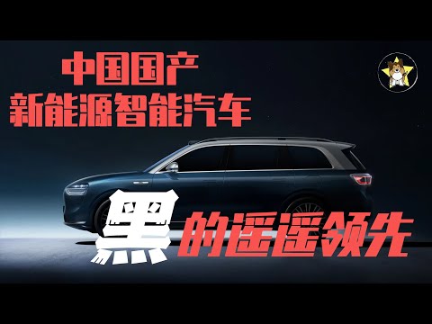 中国国产新能源先进汽车，黑的遥遥领先！【狗哥黑色周末】