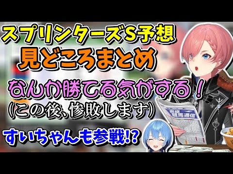 久々のGⅠレースでルイ姉が負けるまで＆しれっと参戦するすいちゃん【ホロライブ切り抜き/鷹嶺ルイ/星街すいせい】