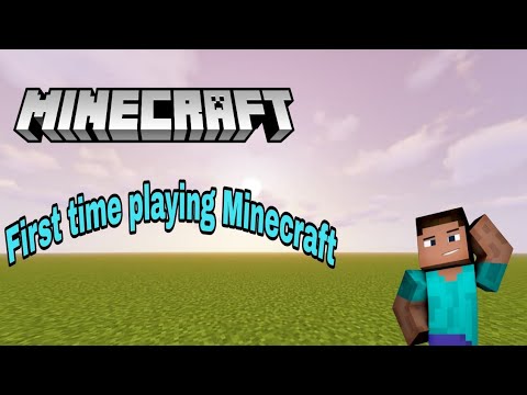 First time playing Minecraft #minecraft