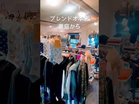 ブレンドオ本店裏庭から#ブレンドオ #福岡市平尾セレクトショップ #福岡市平尾婦人服店 #靴下 #秋コーデ #イタリア製 #coomb #福岡市中央区 #福岡市 #shorts