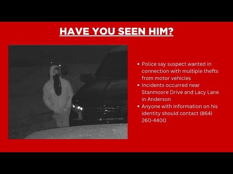 Anderson Co. deputies asking for help identifying suspect