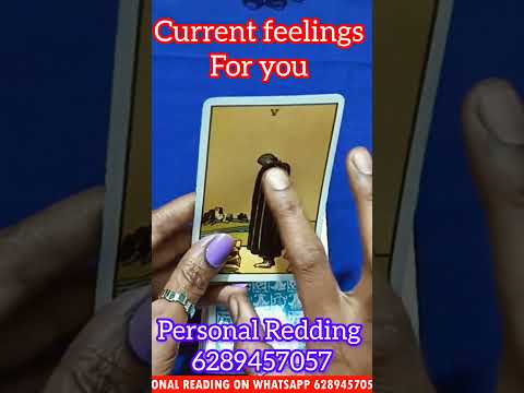 Current feelings for you#wapp:6289457057#shortsfeed#shortvideo#shorts#short#lovestatus#lovereading