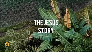 The Jesus Story | Audio Reading | Our Daily Bread Devotional | January 1, 2025