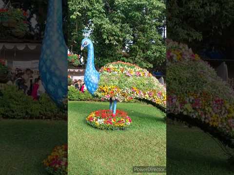 #shorts /Flower Show 2023/Lalbagh Botanical Garden/Bangalore/ #parthodeyvlog