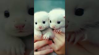 Wow Amazing Video #mostbeautiful #cutepets #amazingpets #foryou