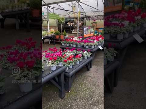 English Garden Centre: It’s Always A Good Time #gardencentre #englishgarden #gardening #garden